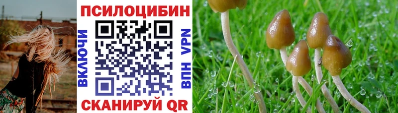 Галлюциногенные грибы мицелий  mega ссылка  Лыткарино 